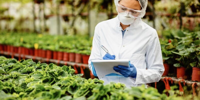 From G20 Summit to Your Supermarket: How South Africa's Leadership Can Reshape Global Food Systems