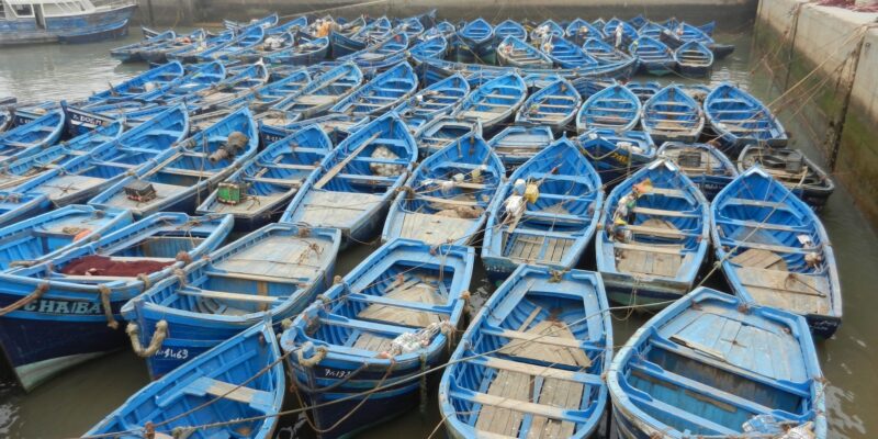 The Tuna Bonds Scandal: A Landmark Case Against Corruption