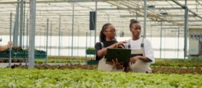 Sustainable Agriculture: A Cornerstone of South Africa's Future