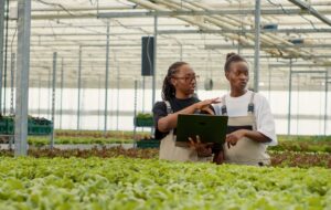 After A Decade, The IASB Releases the Third Edition of the International Financial Reporting Standard for Small and Medium-Sized Entities (IFRS for SMES)