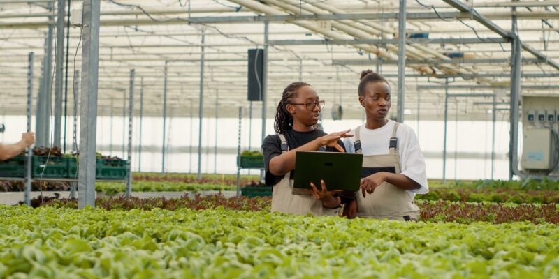 Sustainable Agriculture: A Cornerstone of South Africa's Future
