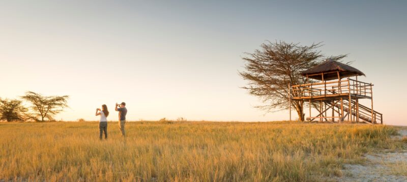 Riding the Green Wave: Embracing Sustainability in African & MENA Tourism