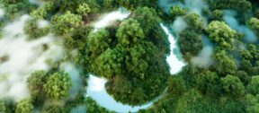 Independence Matters: What IESSA Part 5 Means for Your Sustainability Assurance