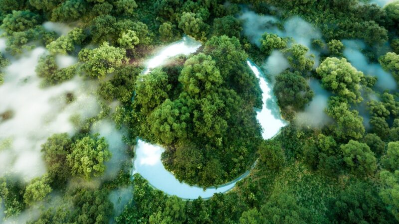 Independence Matters: What IESSA Part 5 Means for Your Sustainability Assurance