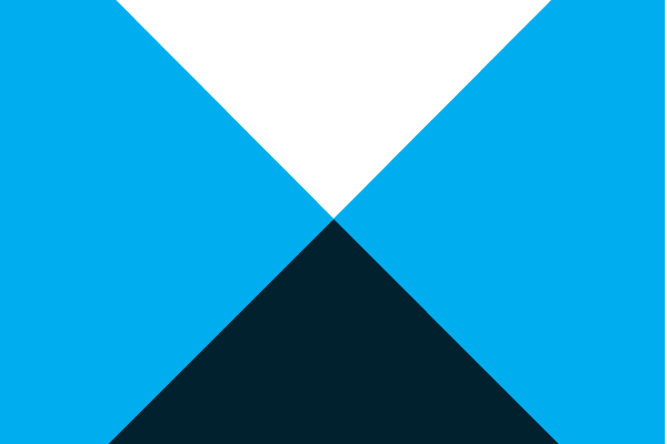 Probity Audits: Why We Need Them